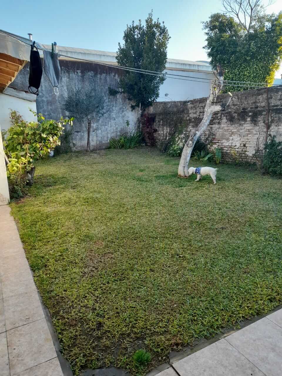 propiedad